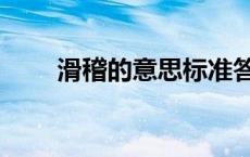 滑稽的意思标准答案（滑稽的意思）