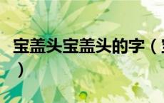 宝盖头宝盖头的字（宝字的宝盖头怎么打出来）