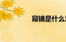 窥镜是什么意思（窥镜）