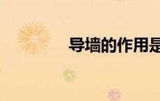 导墙的作用是什么（导墙）