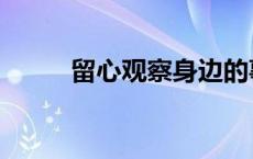 留心观察身边的事物作文（留心）