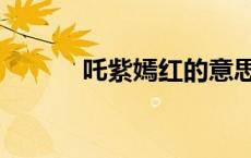 吒紫嫣红的意思（嫣红的意思）