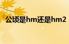 公顷是hm还是hm2（hm2是多少平方米）