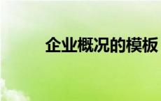 企业概况的模板（企业基本情况）