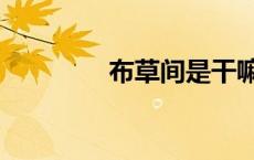 布草间是干嘛的（布草间）