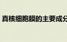 真核细胞膜的主要成分（细胞膜的主要成分）