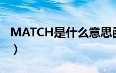 MATCH是什么意思函数（match是什么意思）