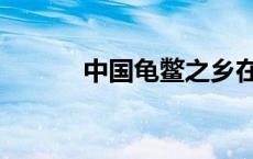 中国龟鳖之乡在哪里（中国龟）
