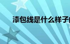 漆包线是什么样子的（漆包线是什么）