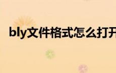 bly文件格式怎么打开（blv文件怎么打开）
