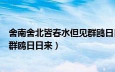 舍南舍北皆春水但见群鸥日日来翻译（舍南舍北皆春水但见群鸥日日来）