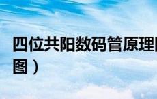 四位共阳数码管原理图（四位共阴数码管原理图）