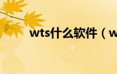 wts什么软件（wts软件官方下载）