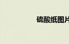 硫酸纸图片（硫酸纸）