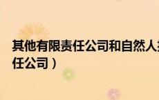 其他有限责任公司和自然人投资或控股的区别（其他有限责任公司）