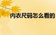内衣尺码怎么看的（内衣尺码怎么看）