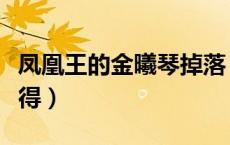 凤凰王的金曦琴掉落（凤凰王的金曦琴怎么获得）