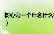 树心旁一个斤念什么字怎么读（树心旁一个斤）