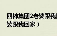 四神集团2老婆跟我回家简介（四神集团2老婆跟我回家）