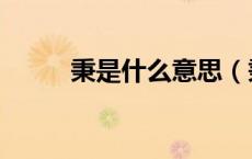 秉是什么意思（秉承是什么意思）