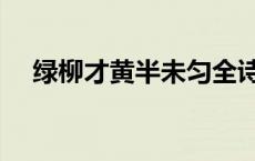 绿柳才黄半未匀全诗（绿柳才黄半未匀）