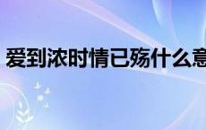 爱到浓时情已殇什么意思（爱到浓时情已殇）
