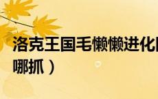 洛克王国毛懒懒进化图表（洛克王国毛懒懒在哪抓）