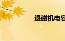 退磁机电容（退磁机）