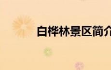 白桦林景区简介（白桦林景区）