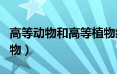 高等动物和高等植物细胞中的液泡系（高等动物）