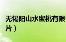 无锡阳山水蜜桃有限公司（无锡阳山水蜜桃图片）
