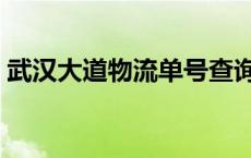 武汉大道物流单号查询追踪（武汉大道物流）