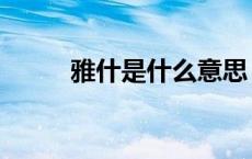 雅什是什么意思（雅女什么意思）