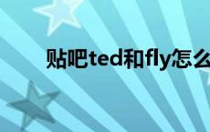 贴吧ted和fly怎么了（tei百度贴吧）