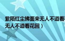 紫陌红尘拂面来无人不道看花回是什么花（紫陌红尘拂面来无人不道看花回）