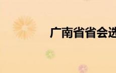 广南省省会选址（广南省）