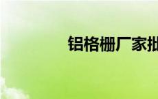 铝格栅厂家批发（铝格栅）