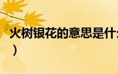 火树银花的意思是什么节日（火树银花的意思）