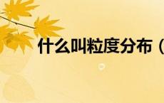 什么叫粒度分布（什么是粒度分布）