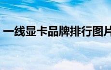 一线显卡品牌排行图片（一线显卡品牌排行）