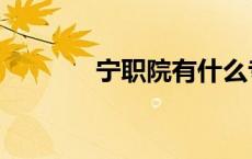 宁职院有什么专业（宁职院）