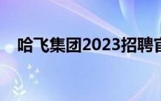 哈飞集团2023招聘官网最新（哈飞集团）