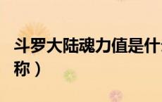 斗罗大陆魂力值是什么（斗罗大陆魂力等级名称）