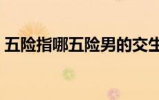五险指哪五险男的交生育险（五险指哪五险）