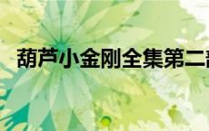 葫芦小金刚全集第二部（葫芦小金刚全集）
