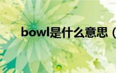 bowl是什么意思（large是什么意思）