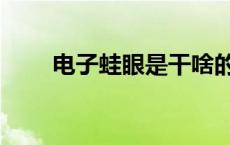 电子蛙眼是干啥的（电子蛙眼图片）