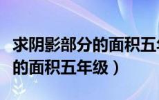 求阴影部分的面积五年级及答案（求阴影部分的面积五年级）