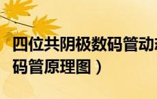 四位共阴极数码管动态显示原理（四位共阴数码管原理图）