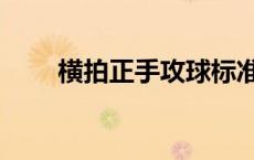 横拍正手攻球标准动作视频（横拍）